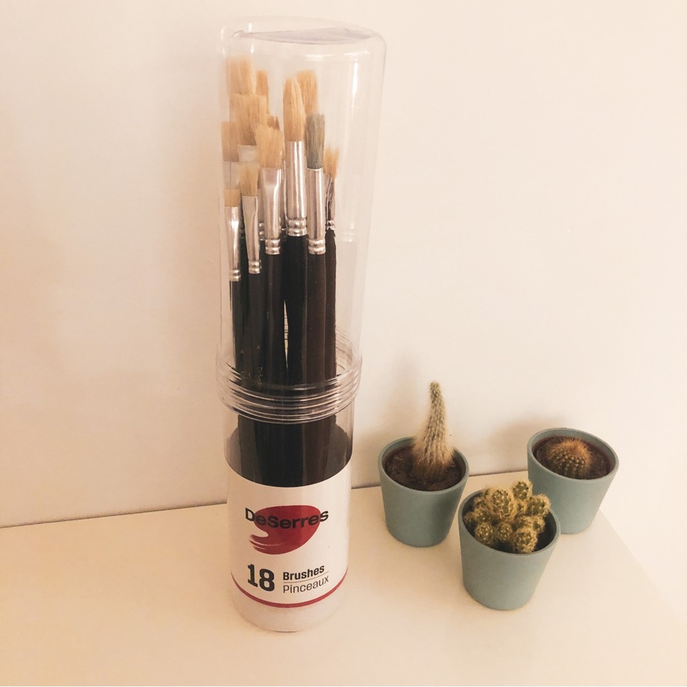 DeSerres natural brush set